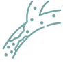 dyslipidemia